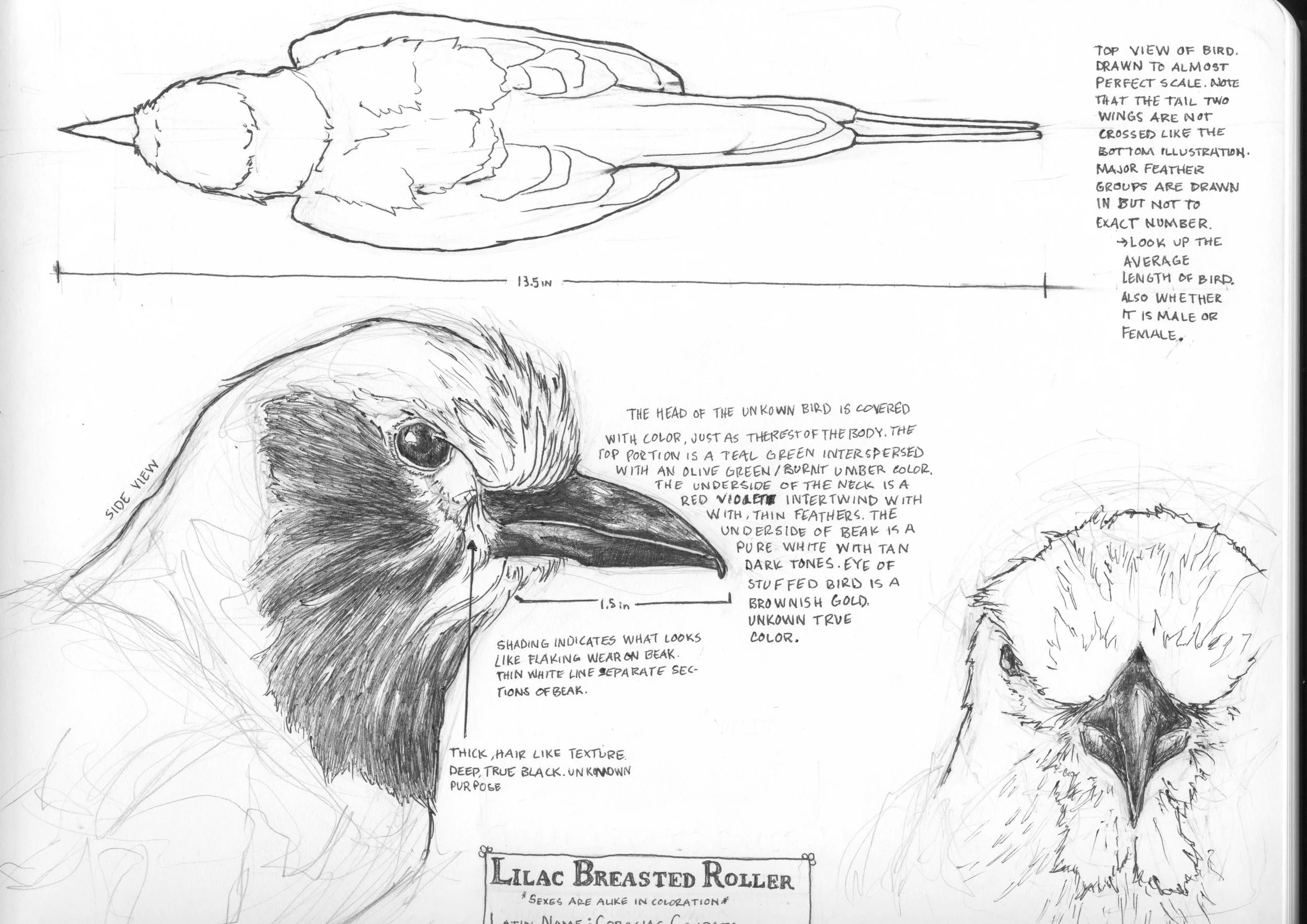 Scan 2.jpg