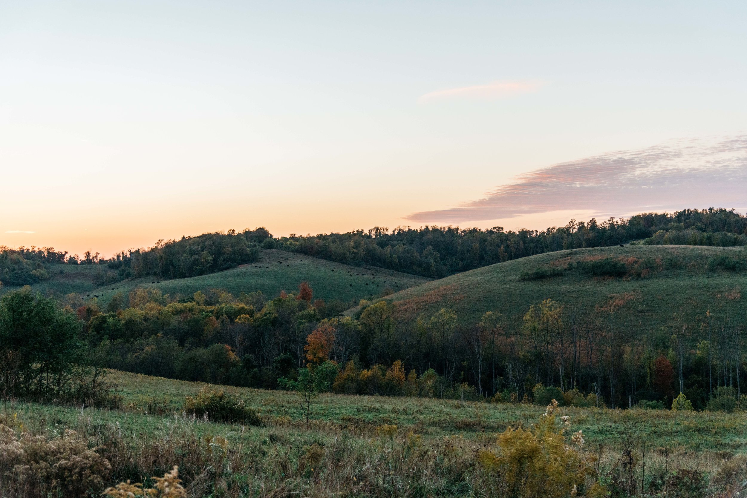 Ohio_0814-1-min.jpg