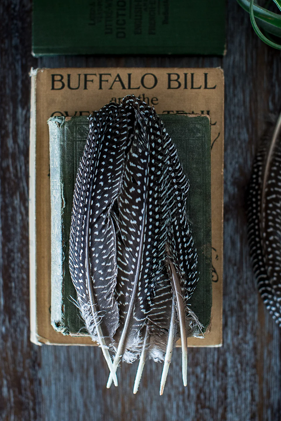 140812_juliebullock_021_1400823_still_lifes_juliebullock copy.jpg