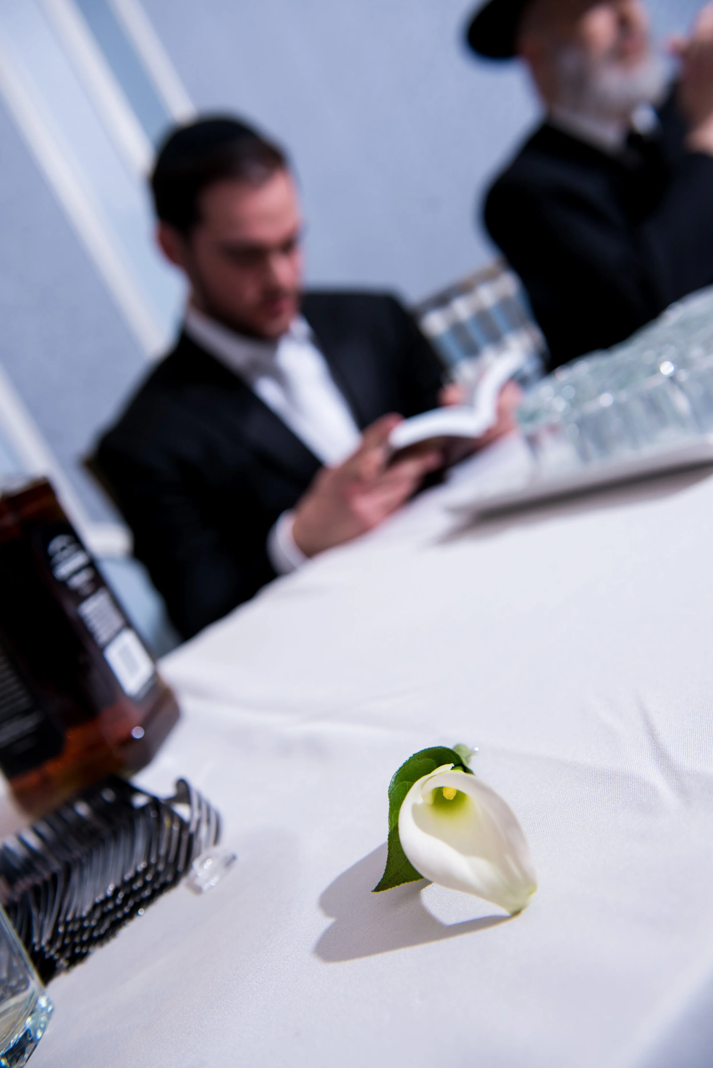 Lake Terrace (33).JPG