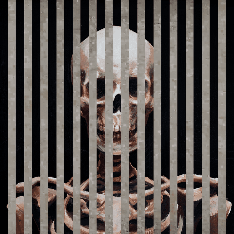 Dissection V