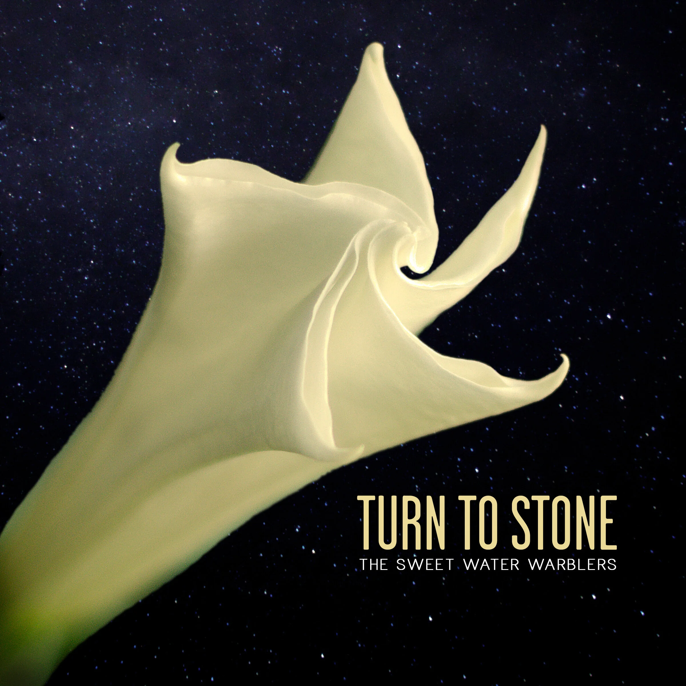 TURN_TO_STONE_SINGLE.jpg