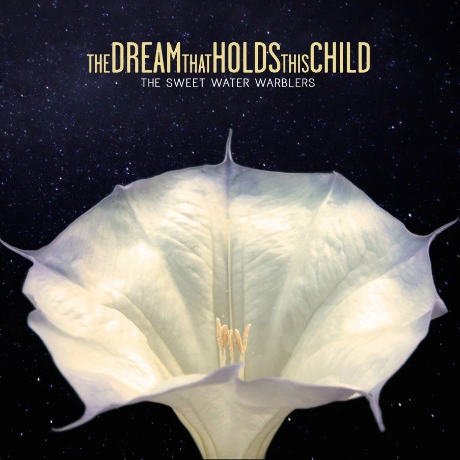 lo-res album art.jpeg