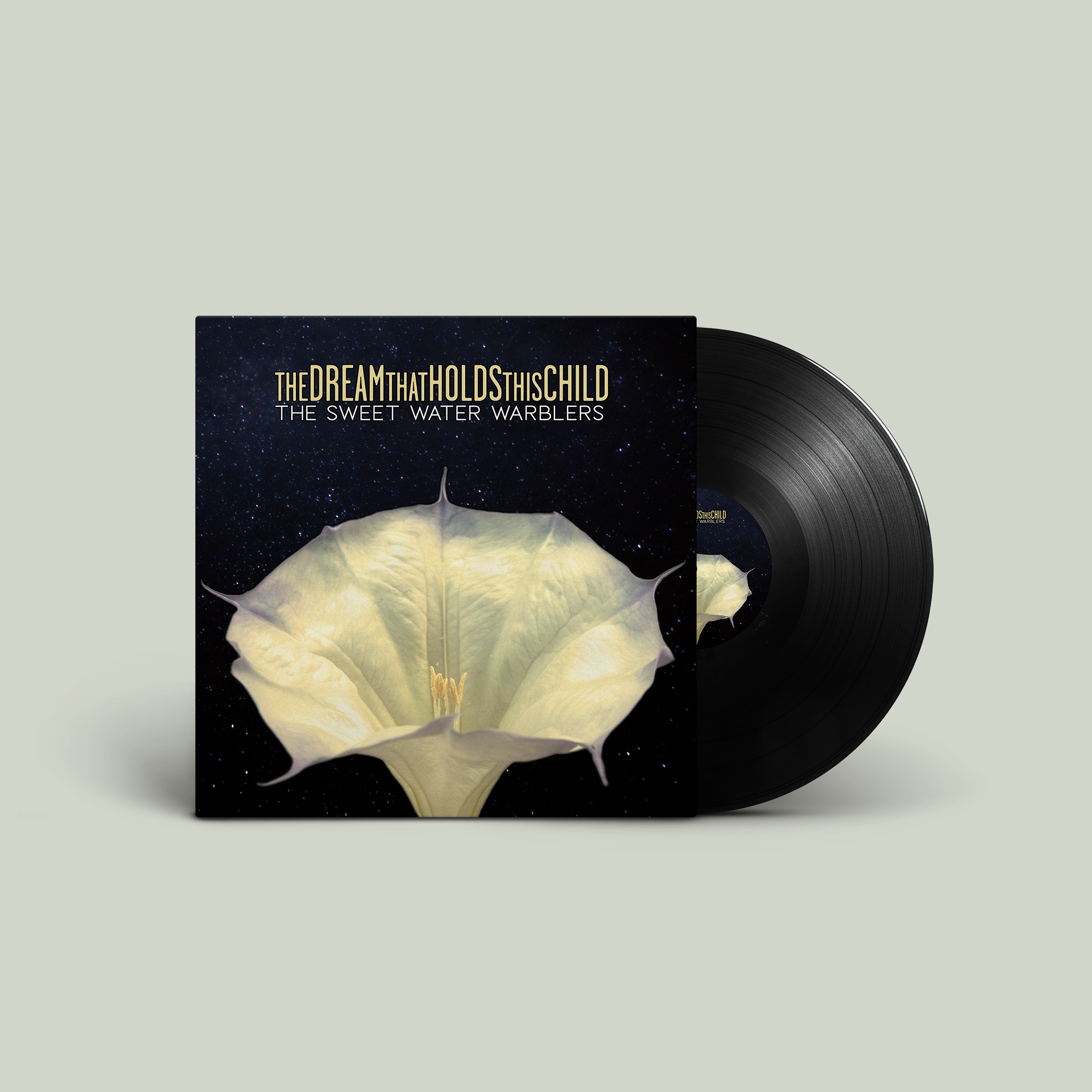 SWW vinyl mock copy.png