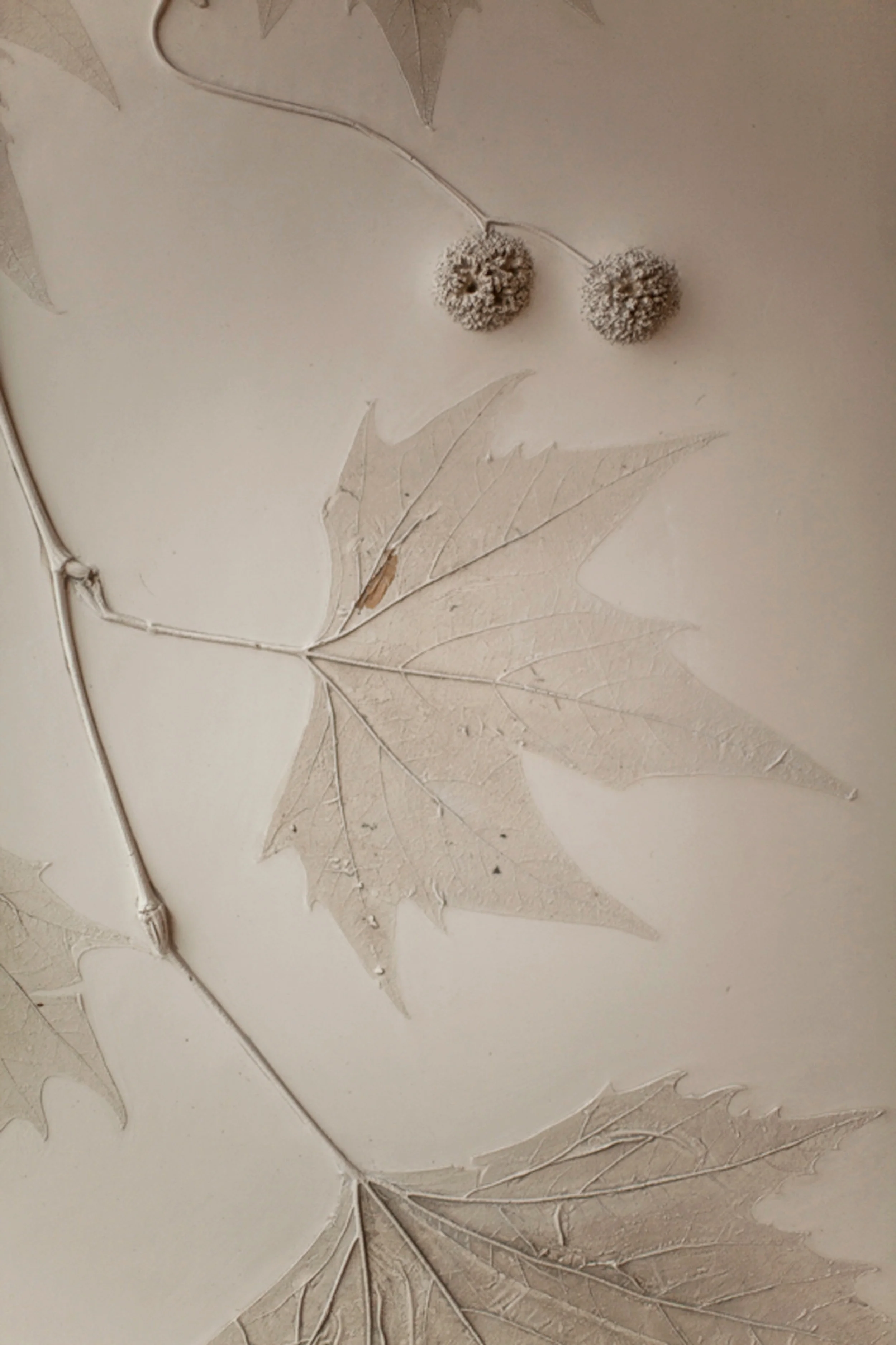 Detail from our plain tree plaster mural at HIDE Above