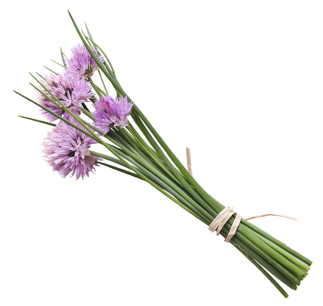 1280-503030695-chives-with-flowers.jpg