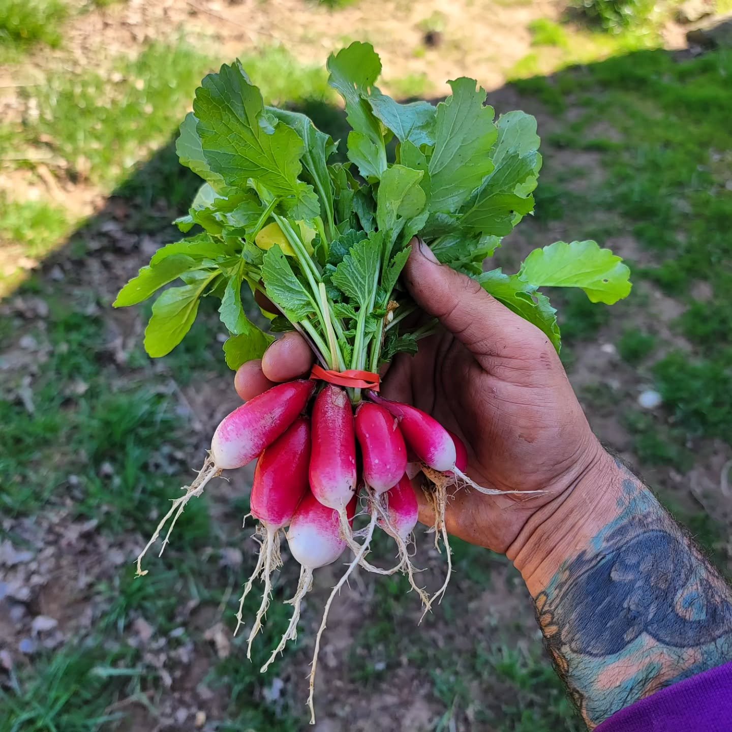 And just like that the 2023 season comes to an end! I had a hard time keeping up with social media this year so here's a little recap... shout-out to all of the staff, workshares, members, and family who did their part in making 2023 another successf