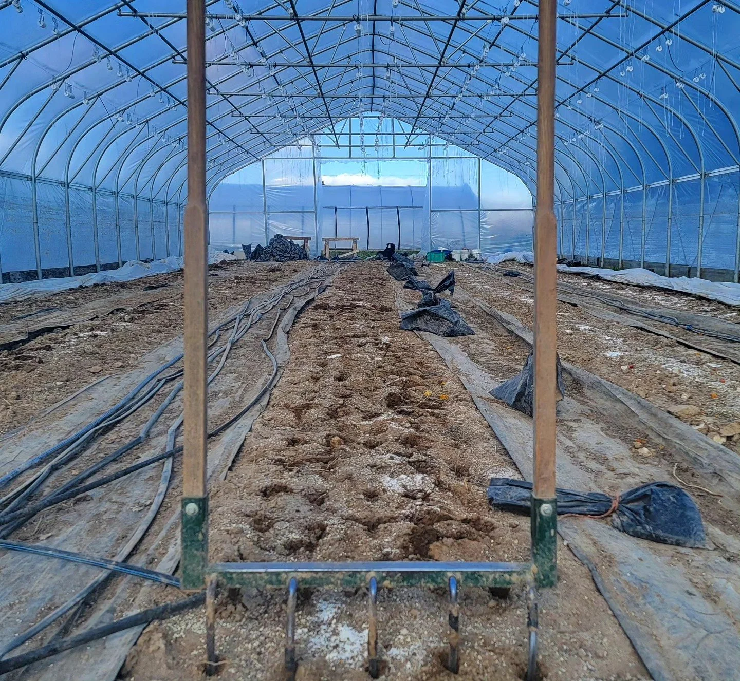 Preppin and plantin! 🥬🥗