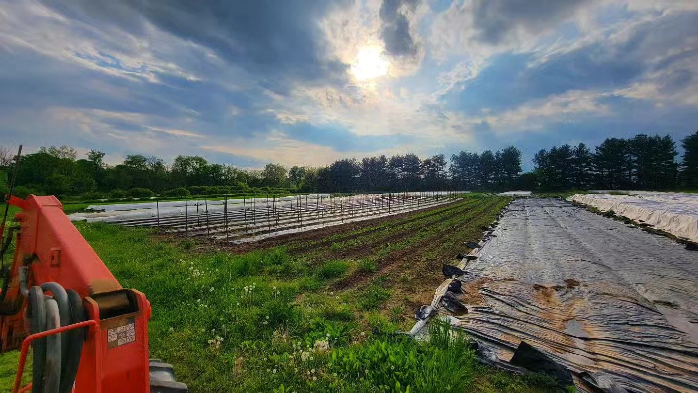 The field work continues! Two weeks until our season starts! Shares are still available for 2024! 🥬🍅🍠🥕
