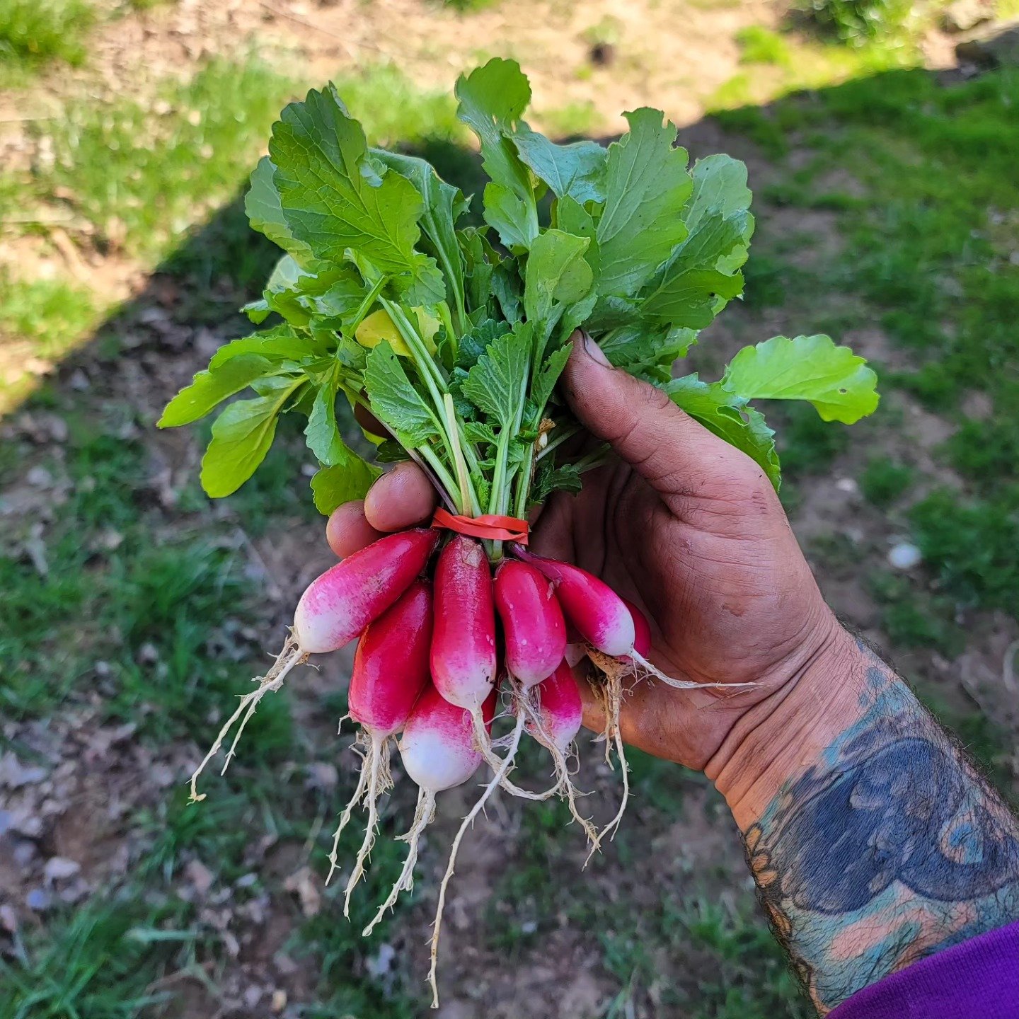 And just like that the 2023 season comes to an end! I had a hard time keeping up with social media this year so here's a little recap... shout-out to all of the staff, workshares, members, and family who did their part in making 2023 another successf