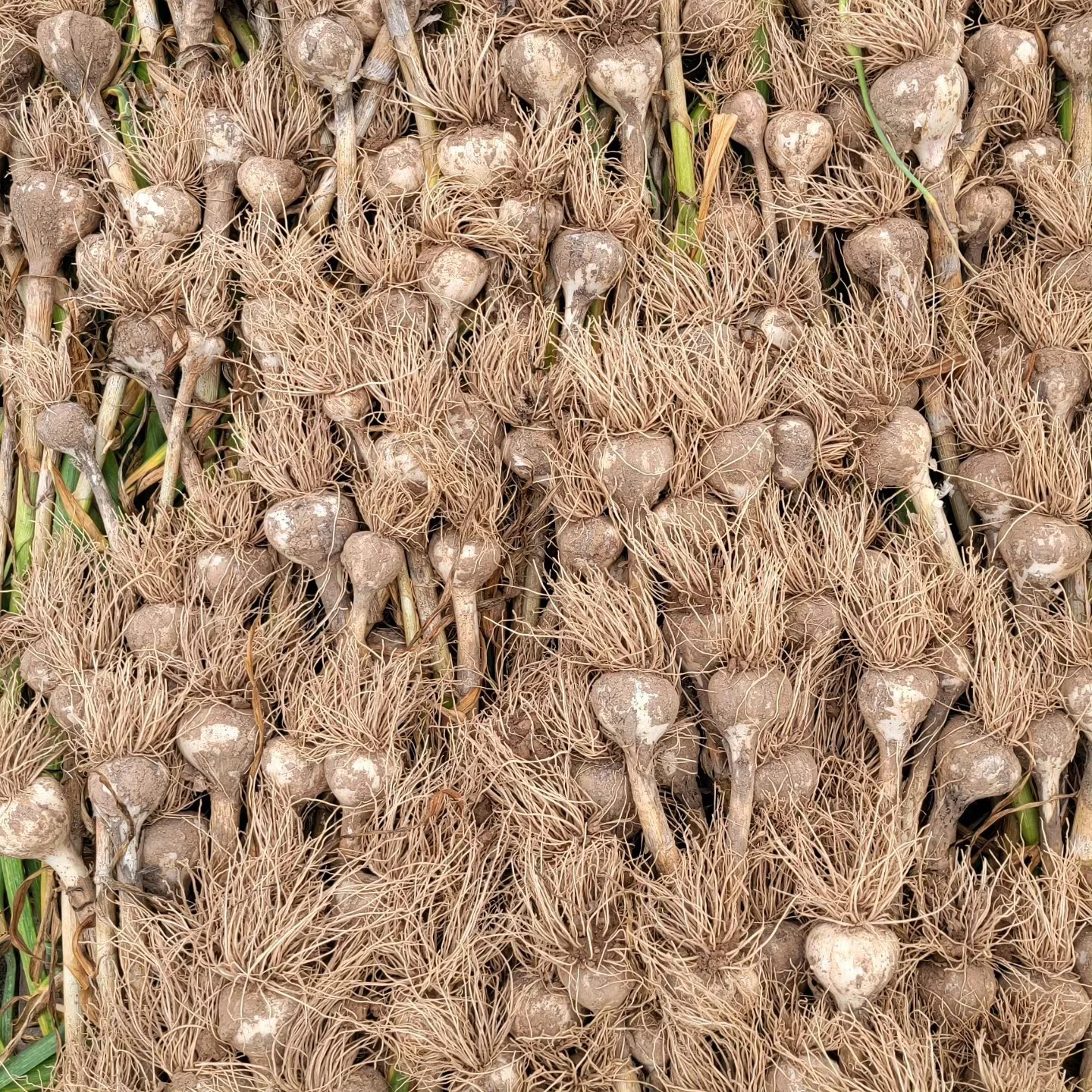 Must be the solstice! 🌞