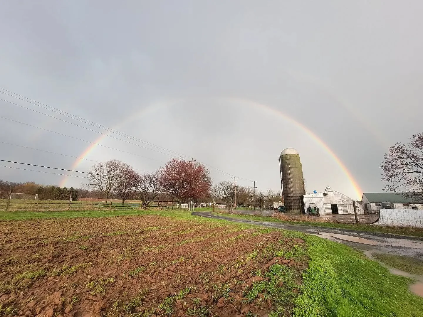 At least we got this... 🌈