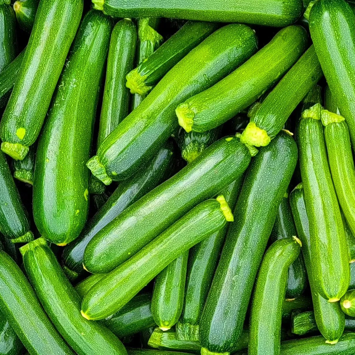 So many zucchinis...🥵