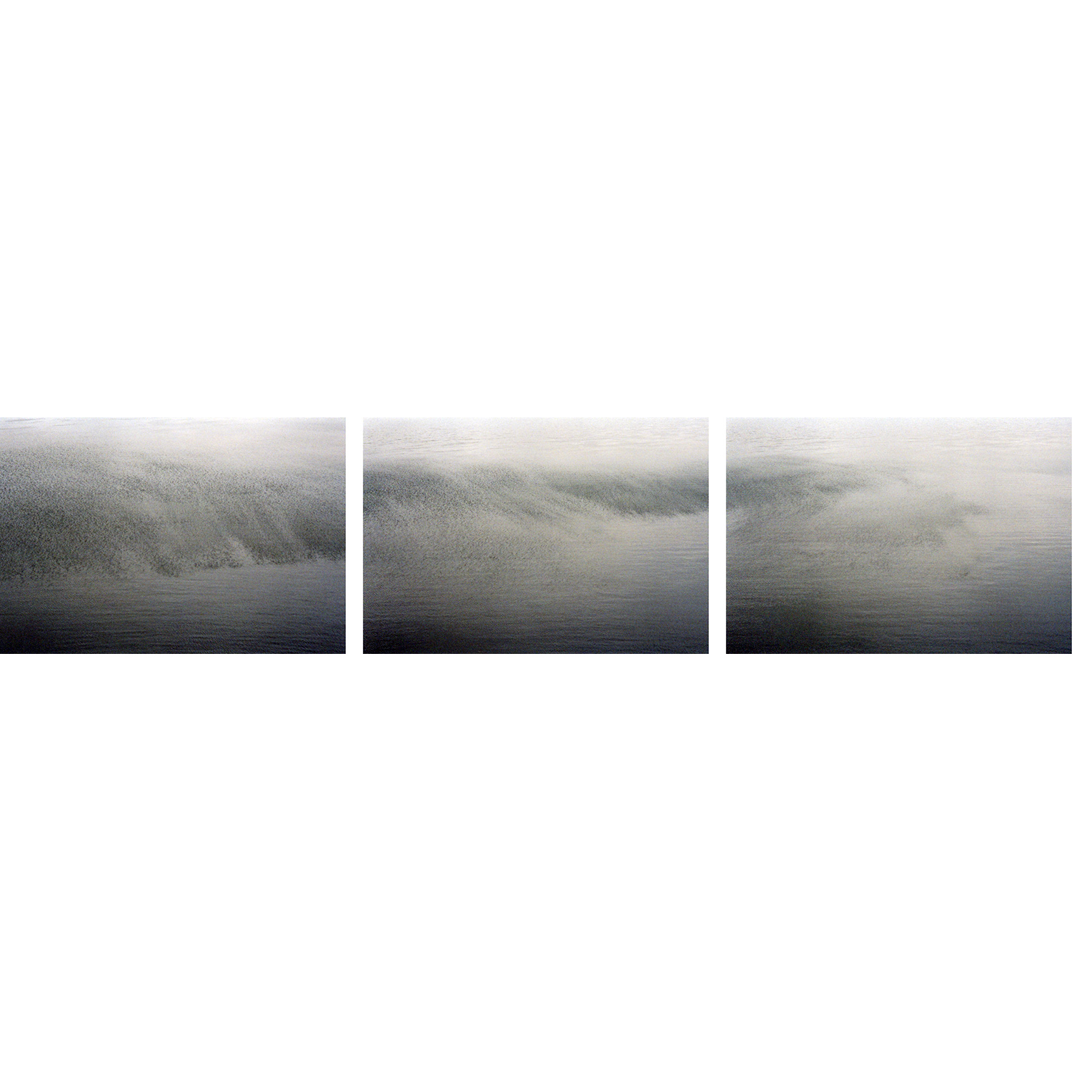   Lake Triptych  2010   