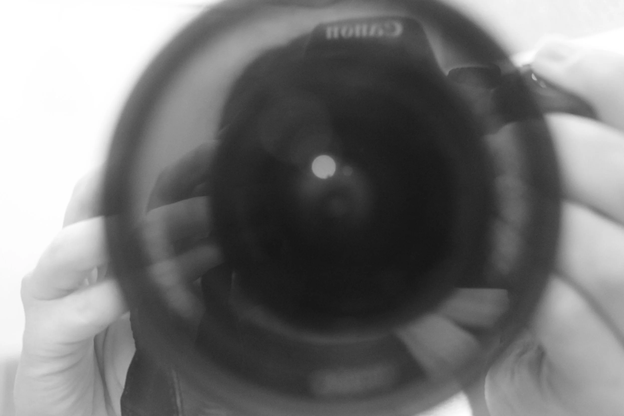 I shoot Canon, digital, and my 50 mm lens is on my camera 90% of the time. But the equipment I choose is irrelevant when it comes to the experience you’ll get: you are the protagonist of the session, and any camera, even my phone’s one, will show yo…