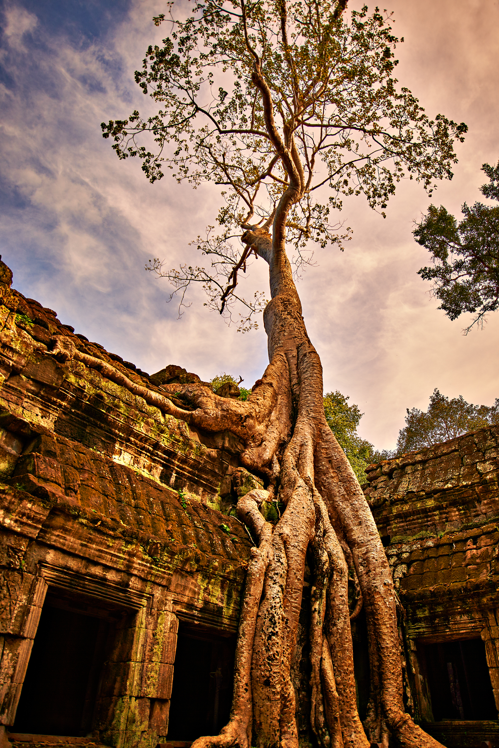 Rosewood Cambodia 0562rgb.jpg
