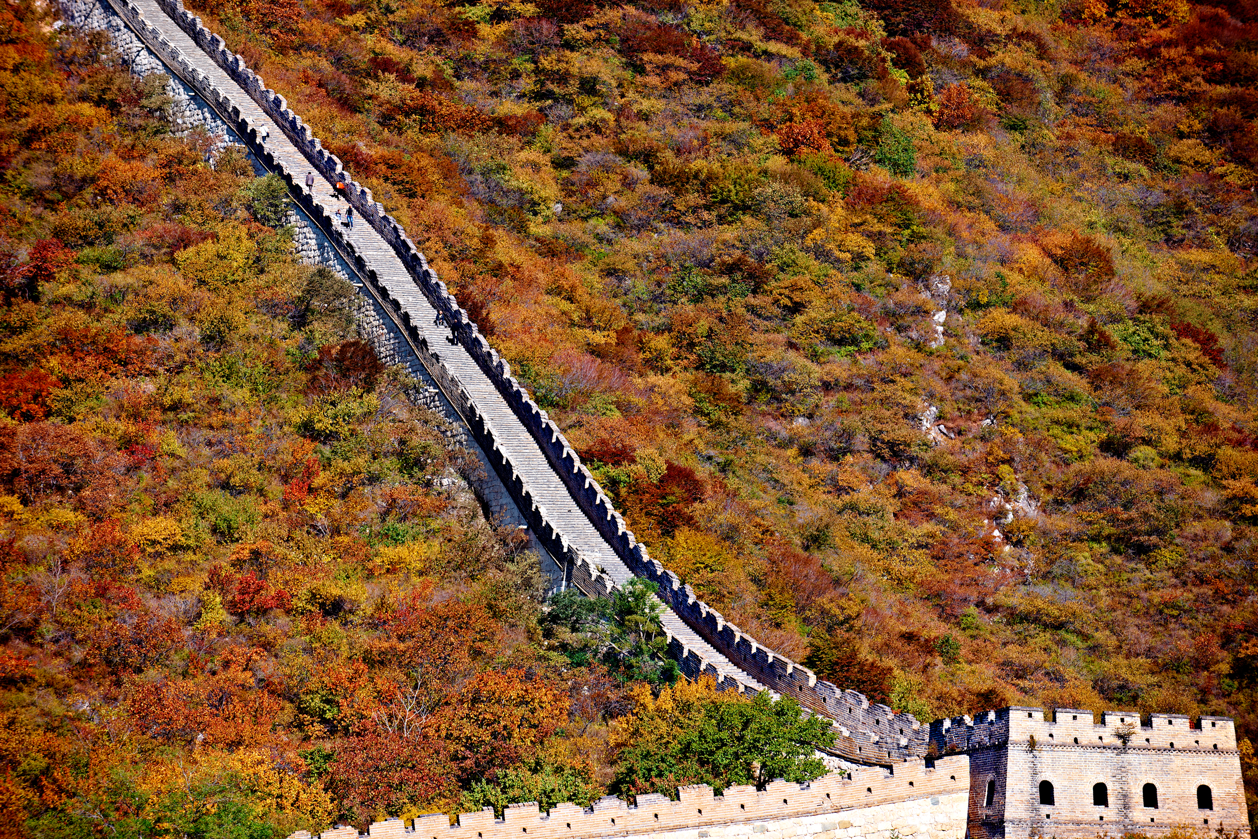 NWH Great Wall 89.jpg