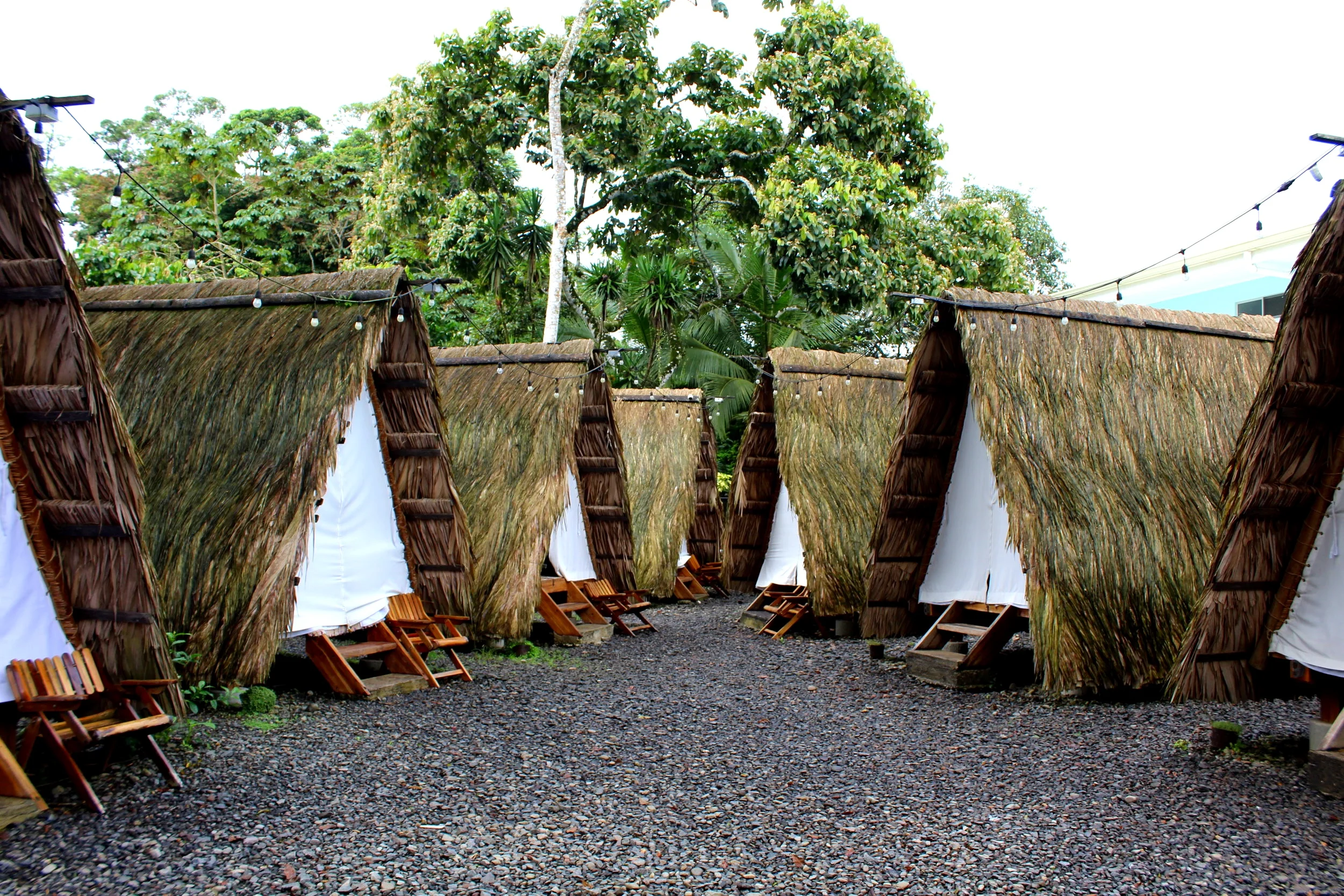 Selena, La Fortuna