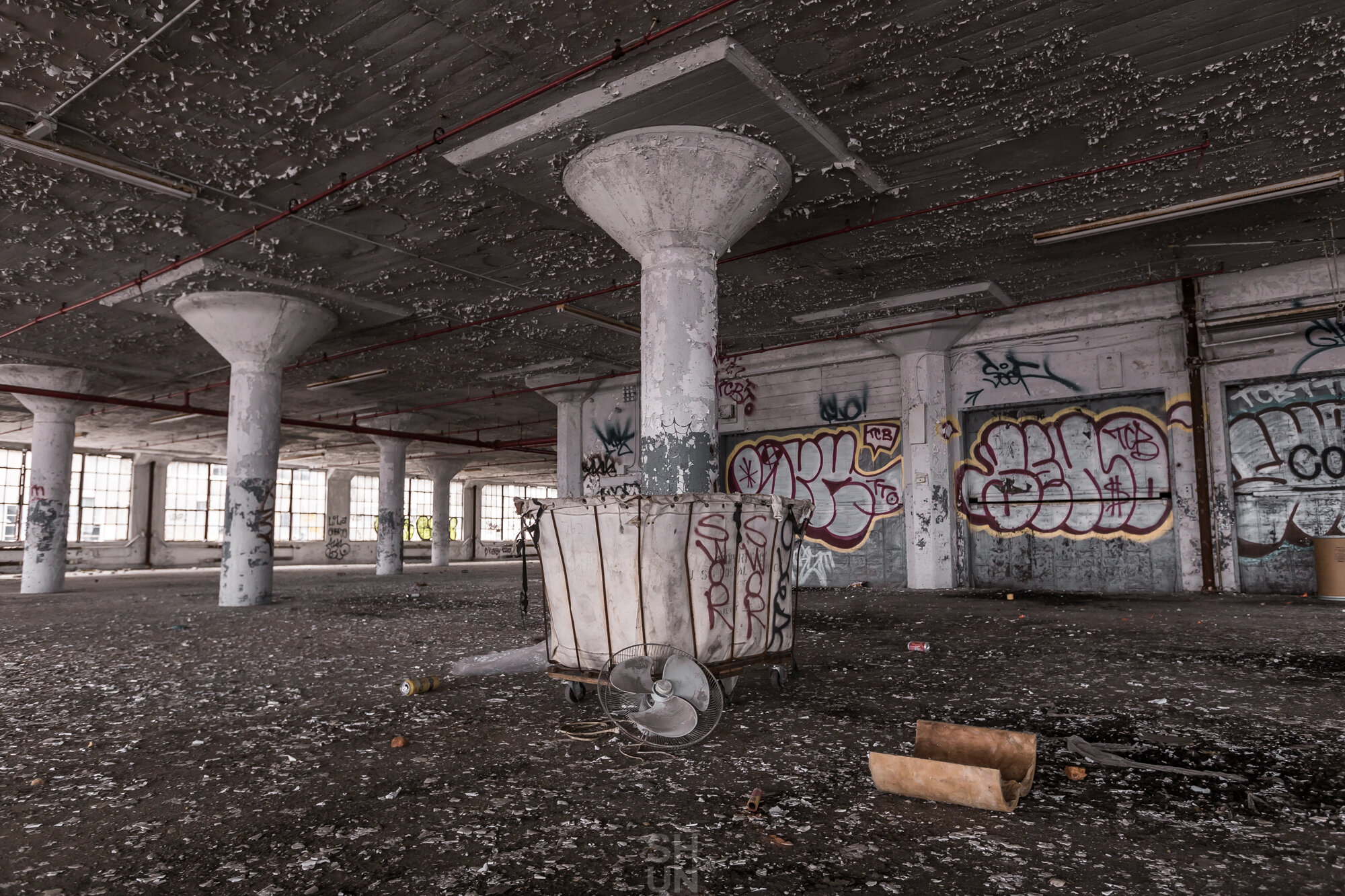IMG_1137-2.jpeg