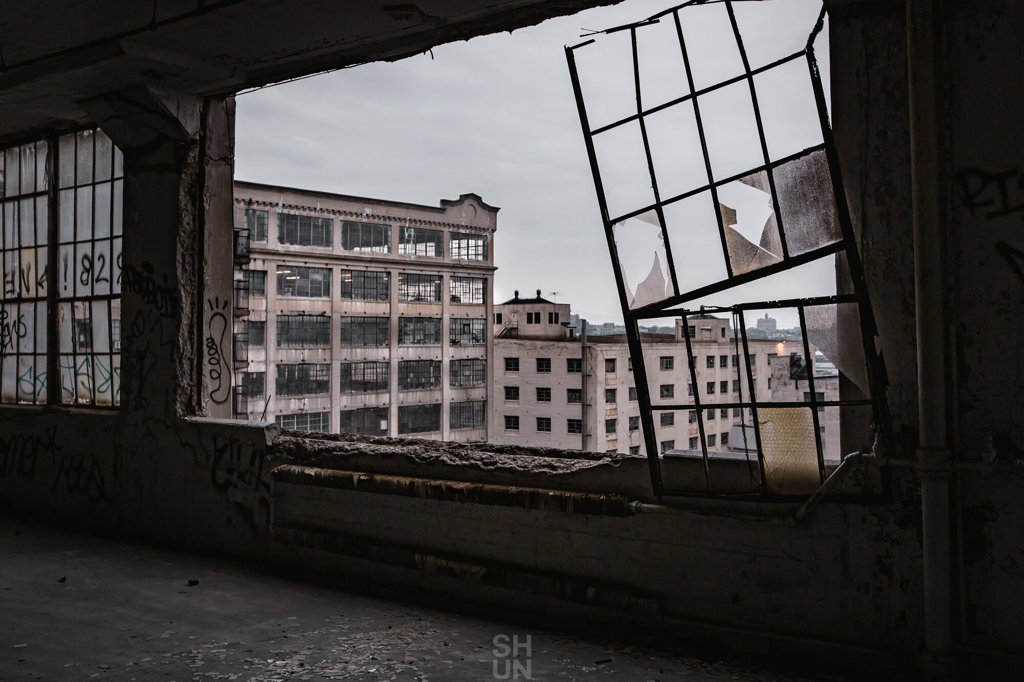 IMG_5813-2.jpeg