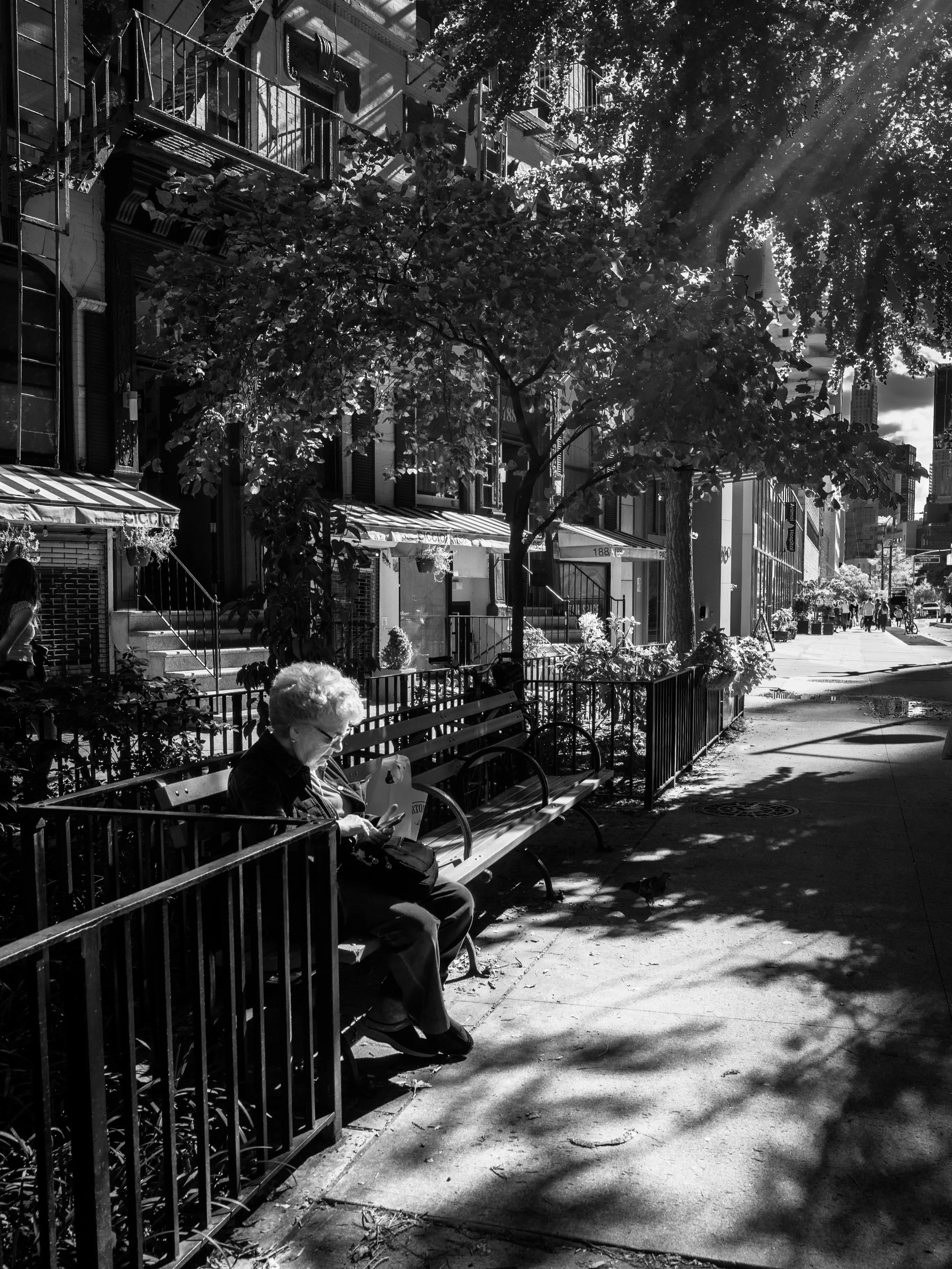 02:41PM #NewYork #USA &ldquo;a peaceful sunny day&rdquo; by @shunsky.nyc for @24hourproject.

&ldquo;24 Hours Against Hunger&rdquo; in support of @actionagainsthunger, a global organization fighting hunger and malnutrition. 

One photo. One hour. One