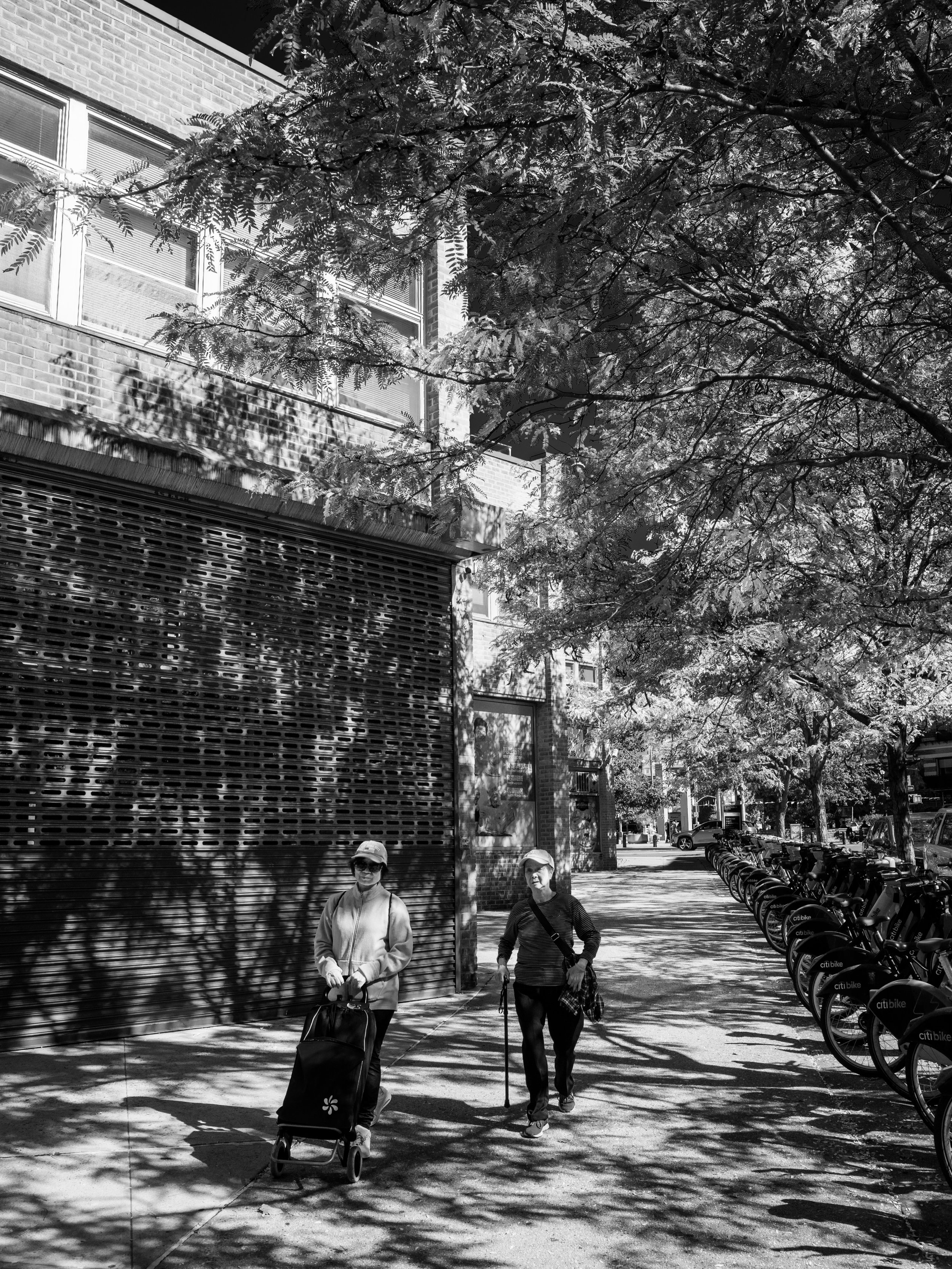 11:09AM #NewYork #USA &ldquo;komorebi (木漏れ日) by @shunsky.nyc for @24hourproject.

&ldquo;24 Hours Against Hunger&rdquo; in support of @actionagainsthunger, a global organization fighting hunger and malnutrition. 

One photo. One hour. One day. One gl