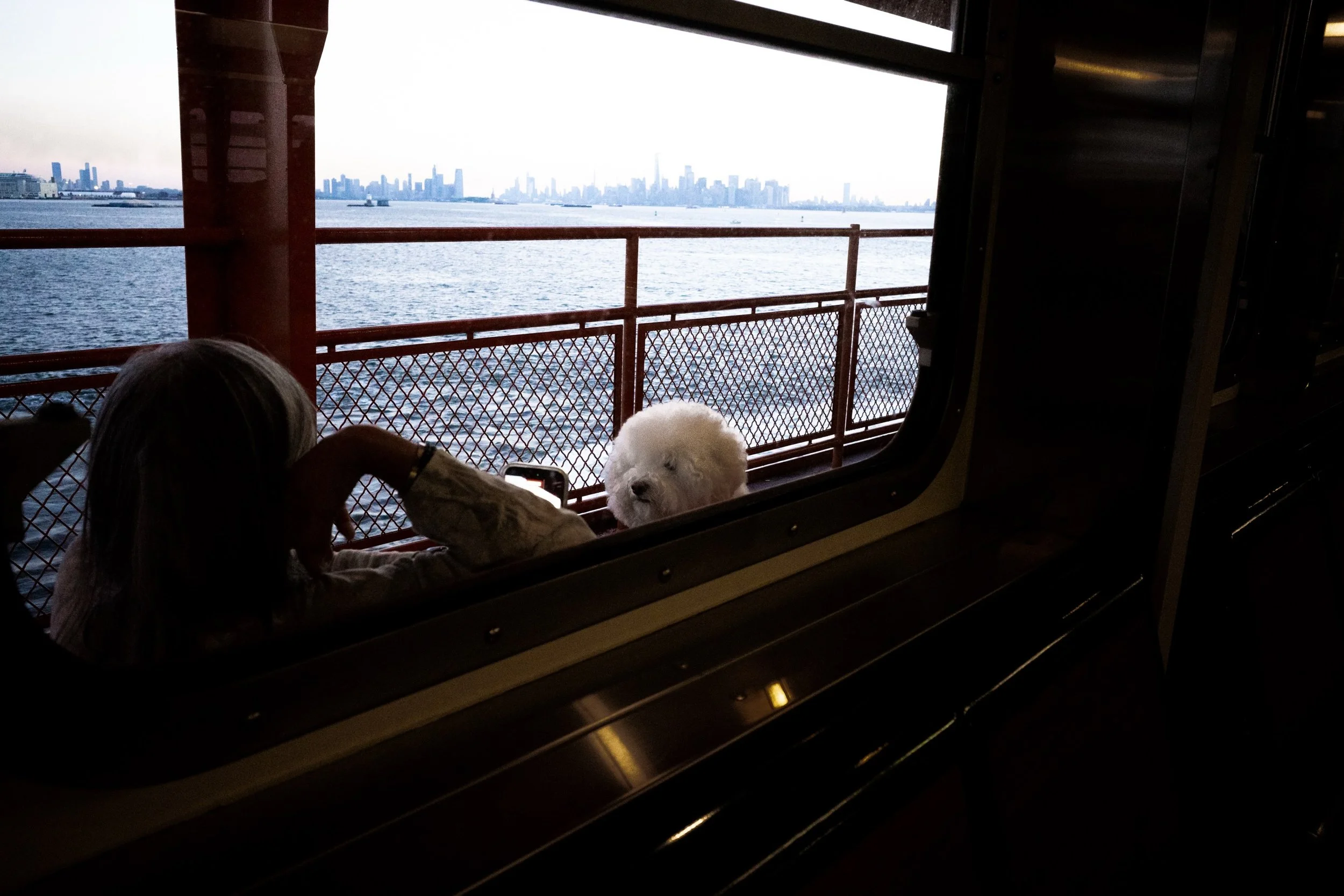 06:51AM #NewYork #USA &ldquo;what a fluffy mofu-mofu!&rdquo; by @shunsky.nyc for @24hourproject.

&ldquo;24 Hours Against Hunger&rdquo; in support of @actionagainsthunger, a global organization fighting hunger and malnutrition. 

One photo. One hour.