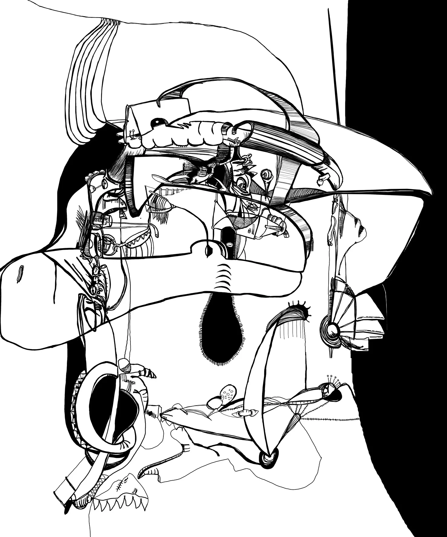 Dispensing the myth of order.jpg