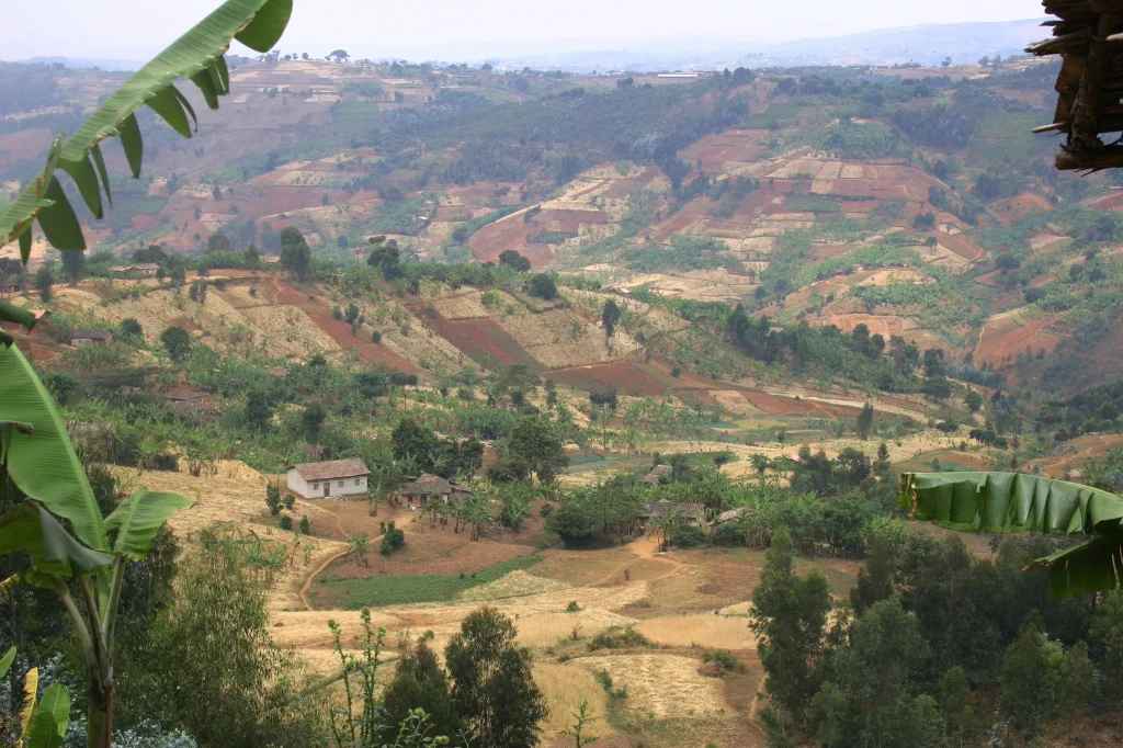 burundi_land.jpg