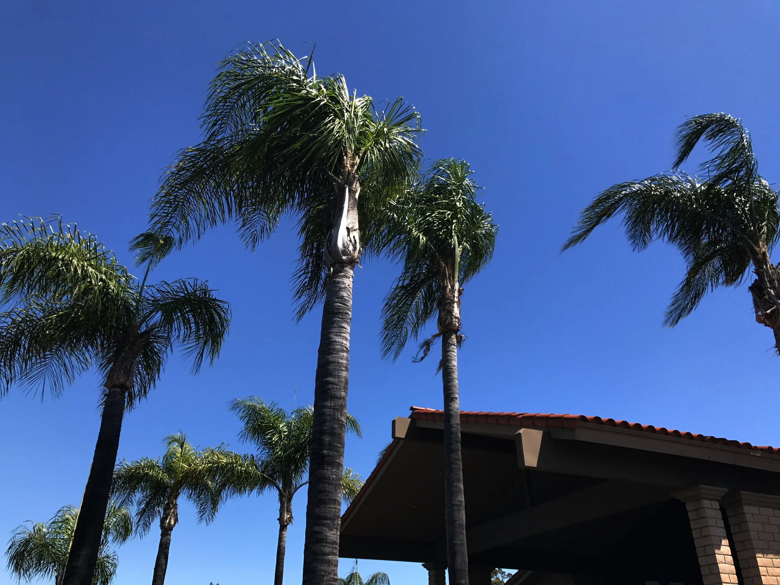 FullSizeRender 13.jpg