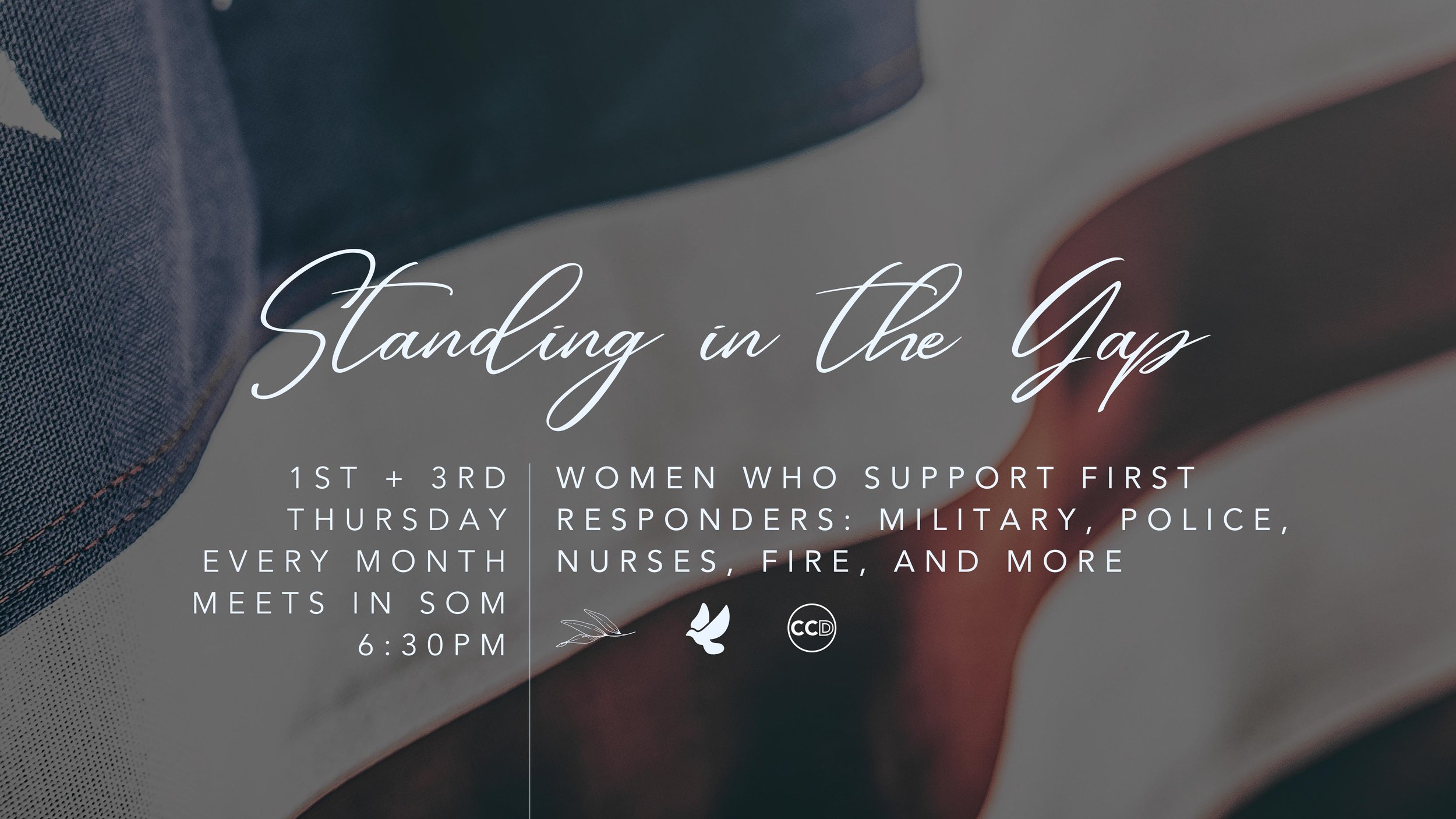 Standing in the Gap.jpg