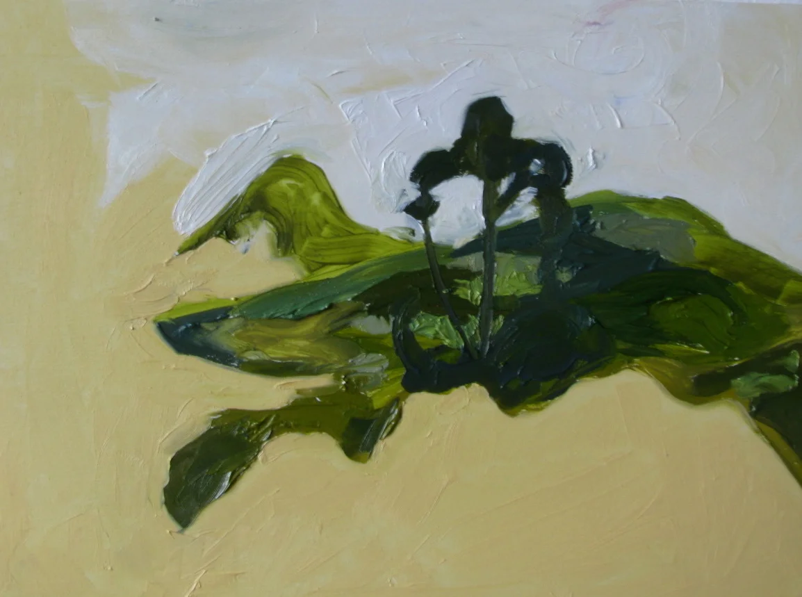 yellow hill scape