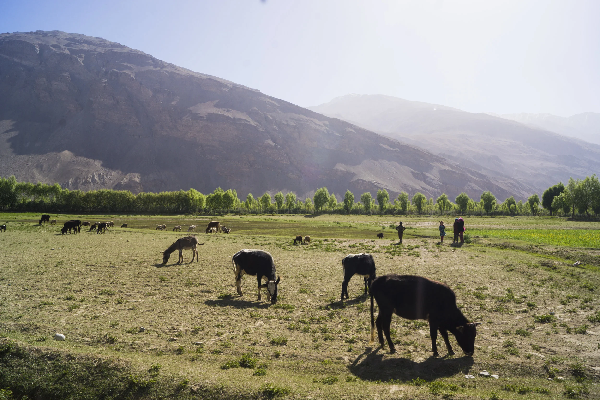 Grazing country, Ishkashim district, Afghanistan.
