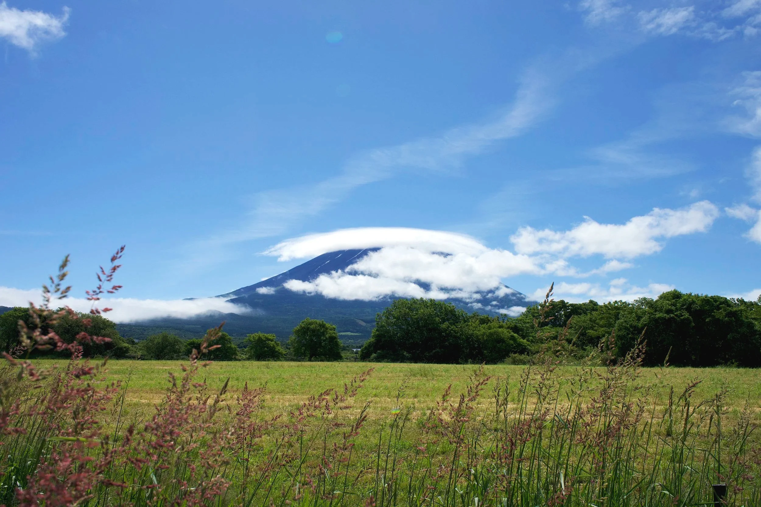 Fuji over fields