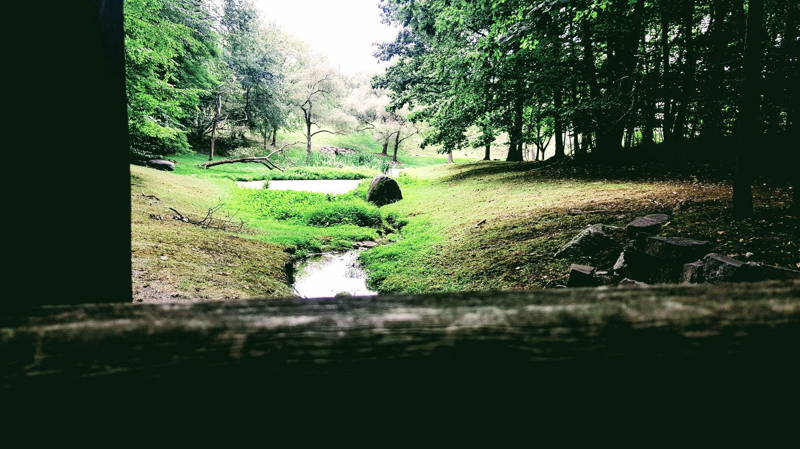 20160831_124053.jpg