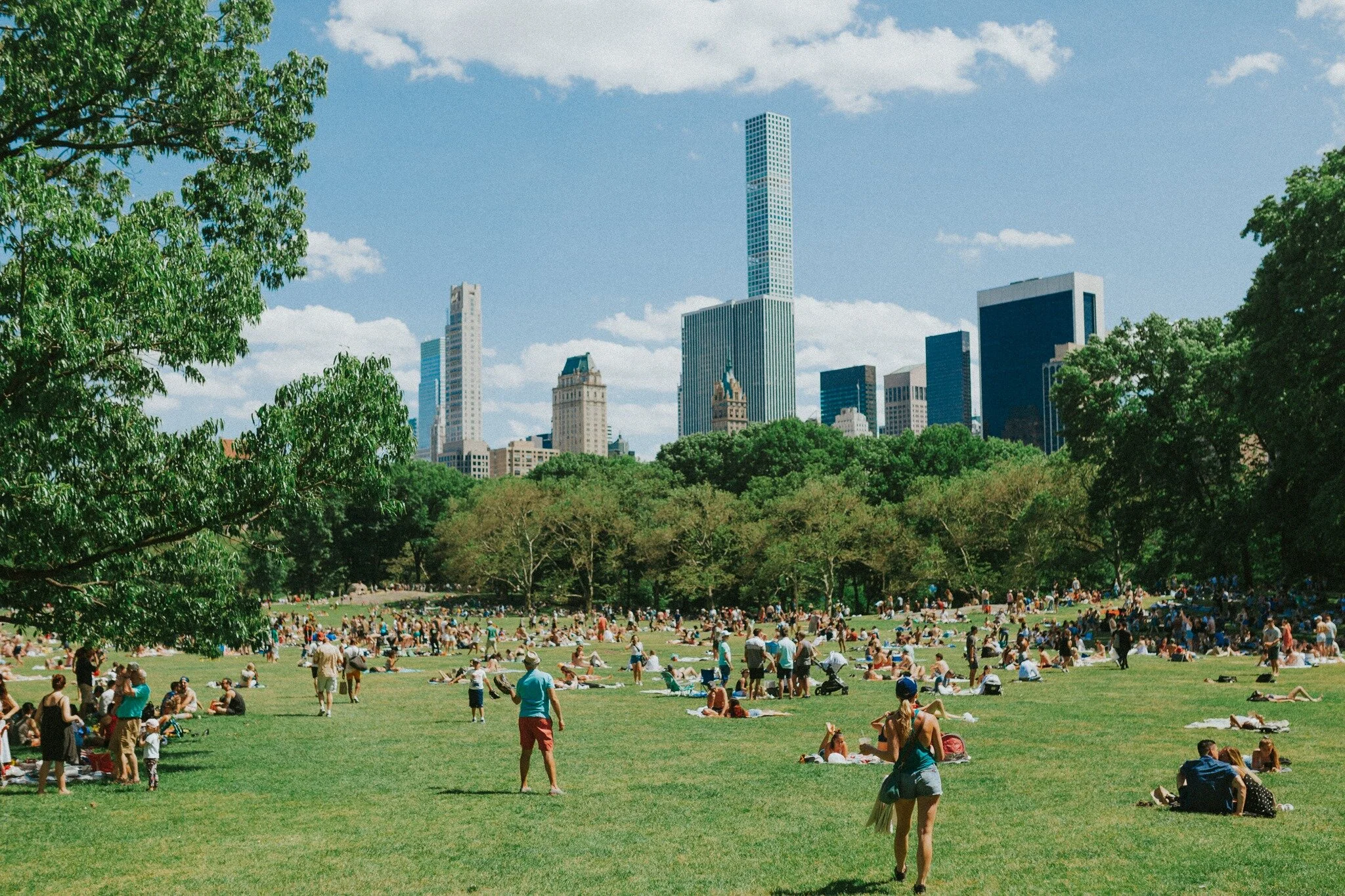 Sheep Meadow