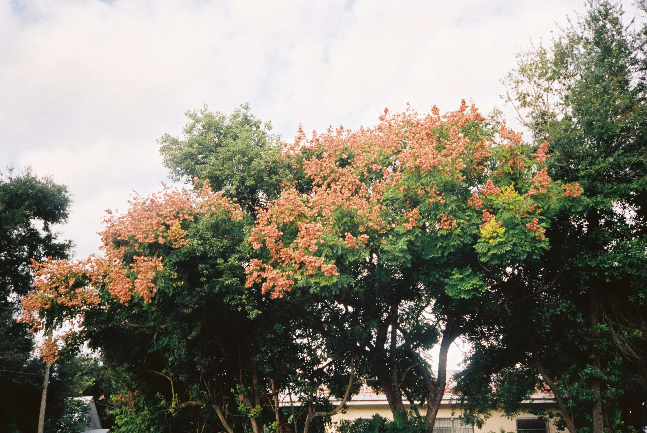 RK00MUIPA009822-R1-009.jpg