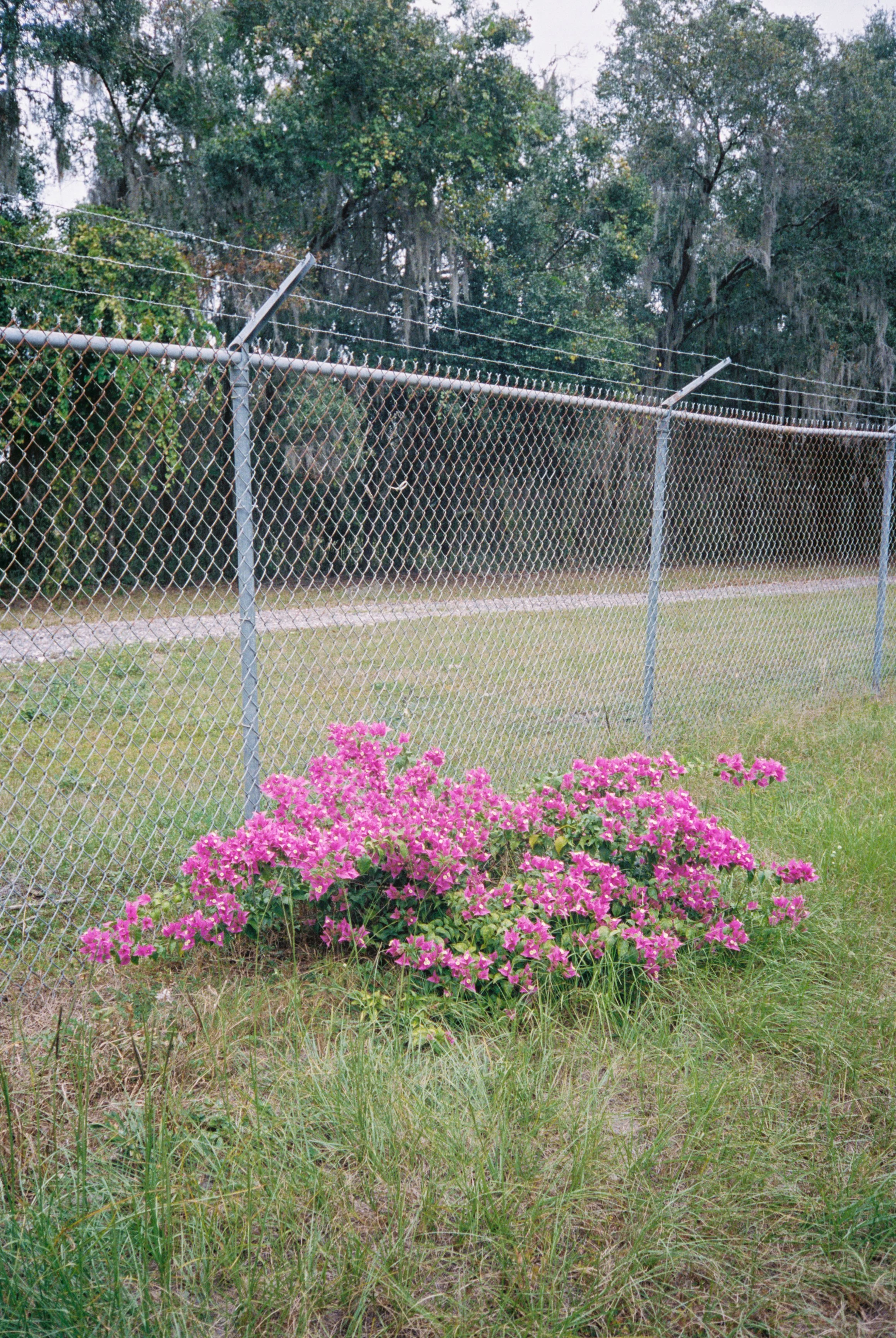 RK00MUIPA009822-R1-022.jpg