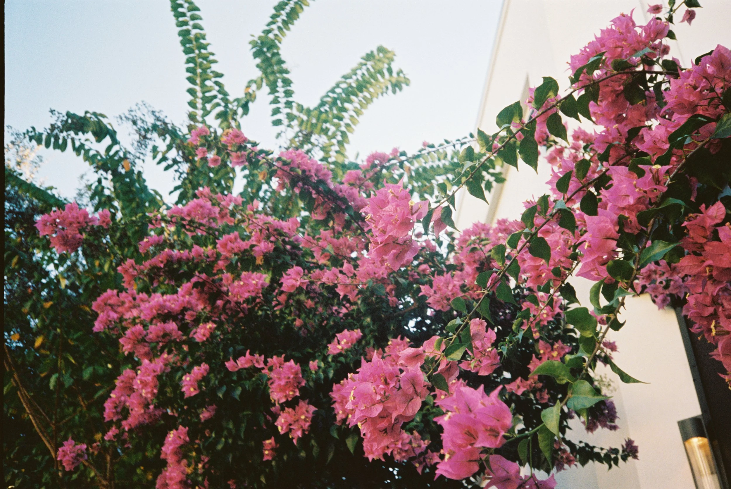 RP00UPOIQ009971-R1-012.jpg
