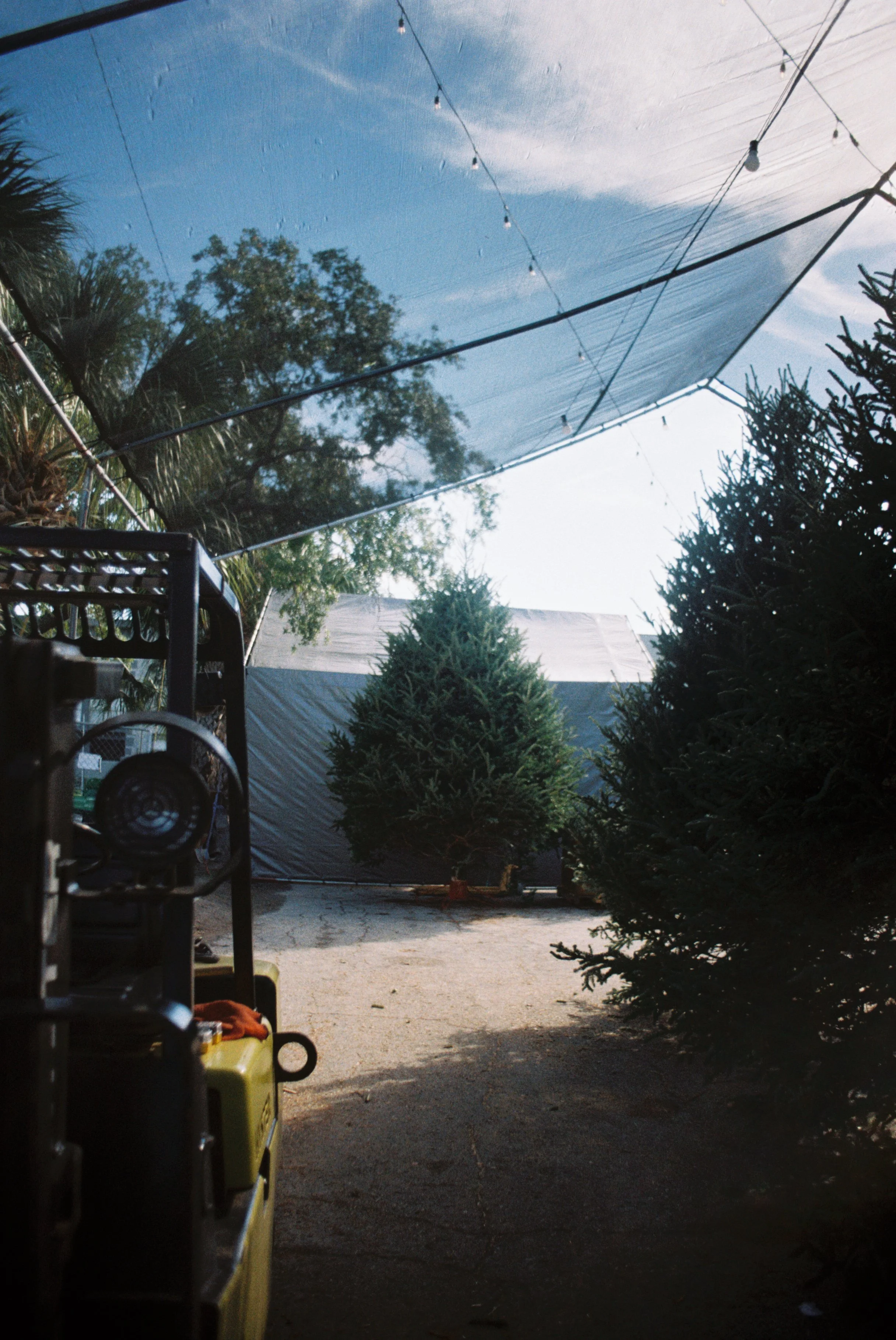 RickeyResc004212-R1-020.jpg