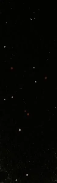 Capture3.JPG