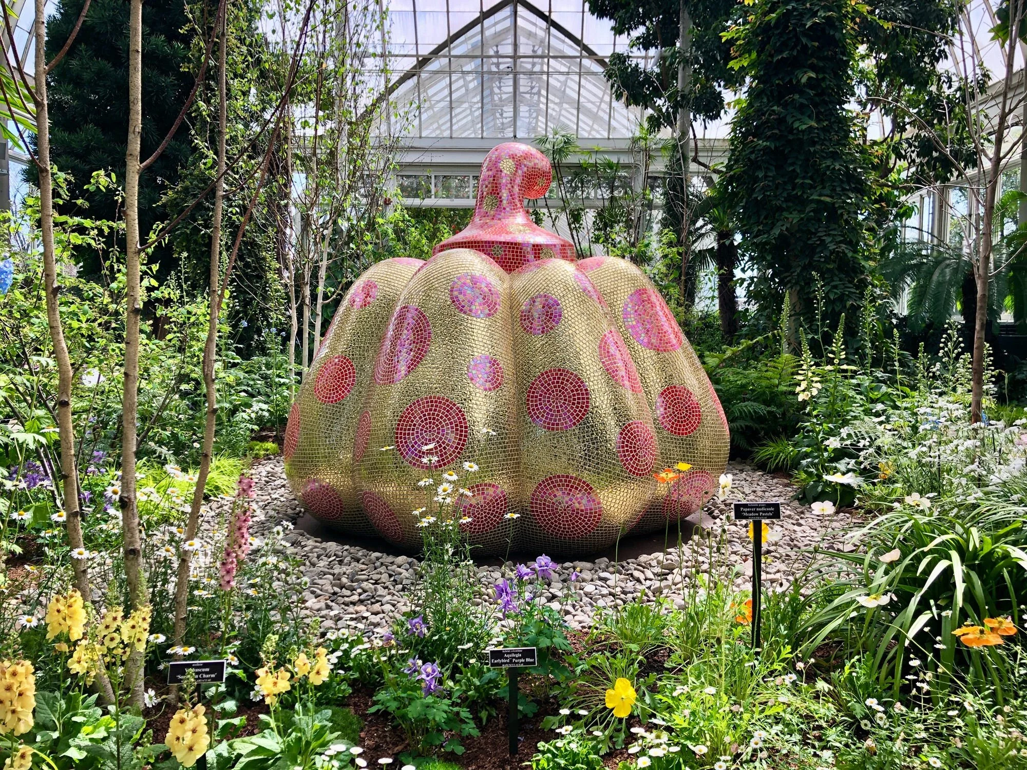  Ep. 48: The Bronx w/  Yayoi Kusama's works at New York Botanical Garden; Artist Tasha Dougé; Rapper Kemba; Food: Togo’s Bognan International &amp; Italian Madonia Brothers Bakery