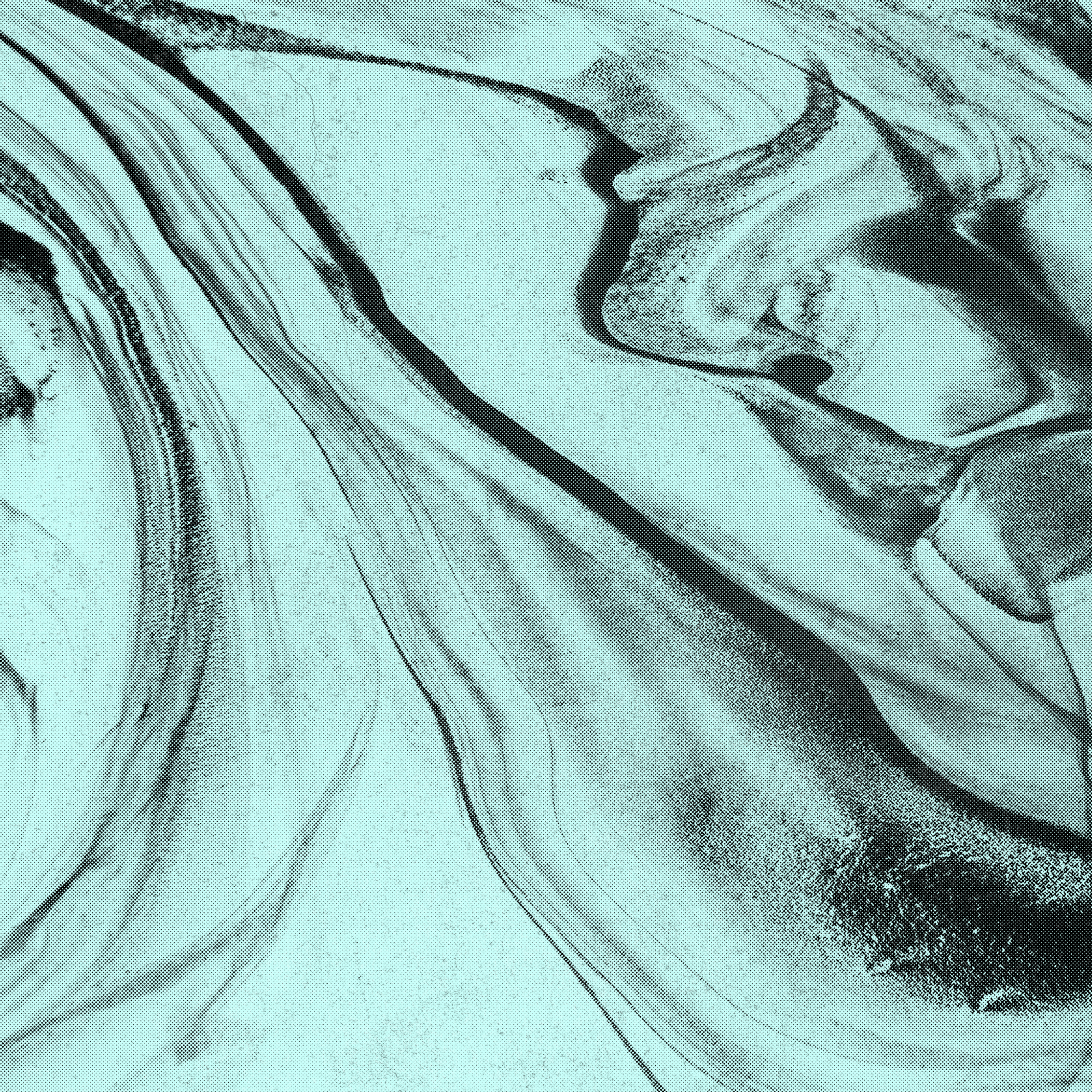 Robert Europe Logos-13.png