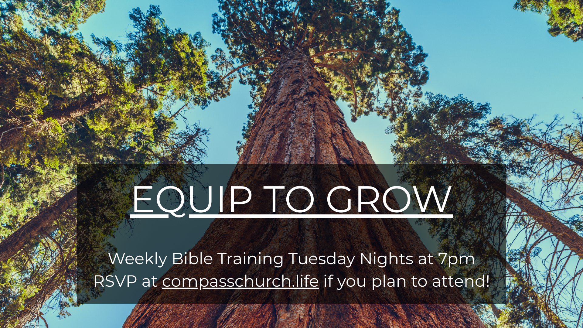 Equip To Grow