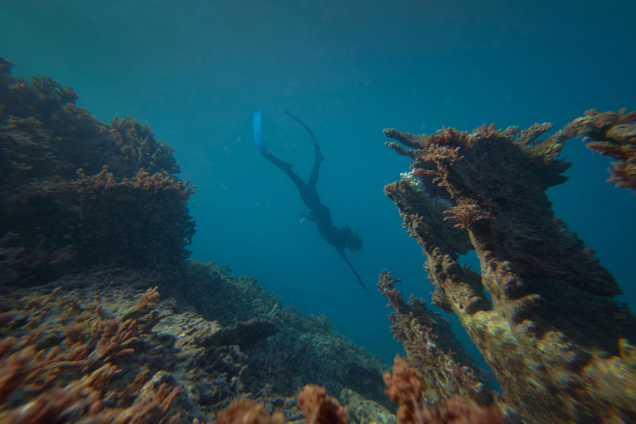 Abrolhos Adventures Sea Shack