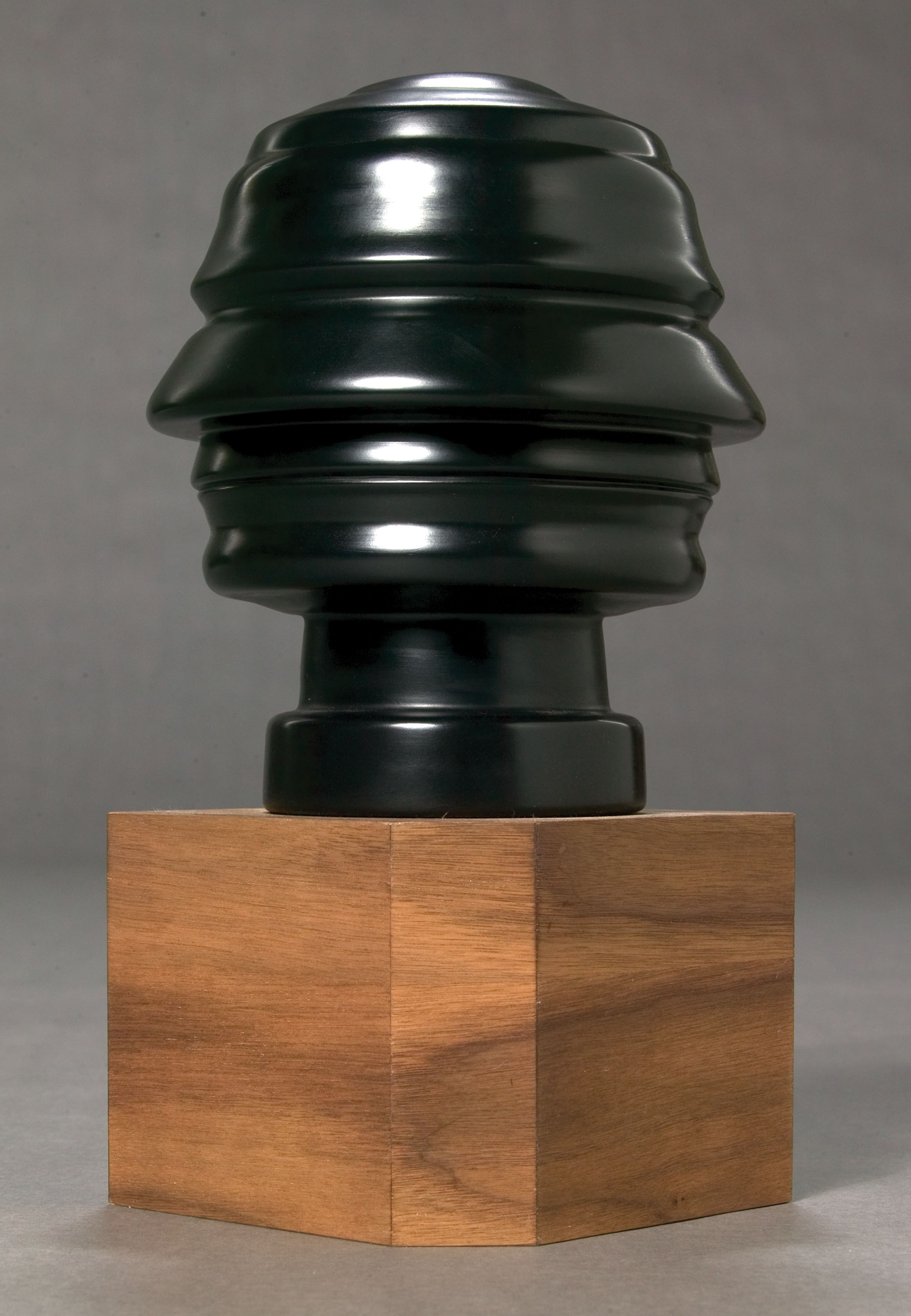 Continuous Profile of Bush copy.jpg