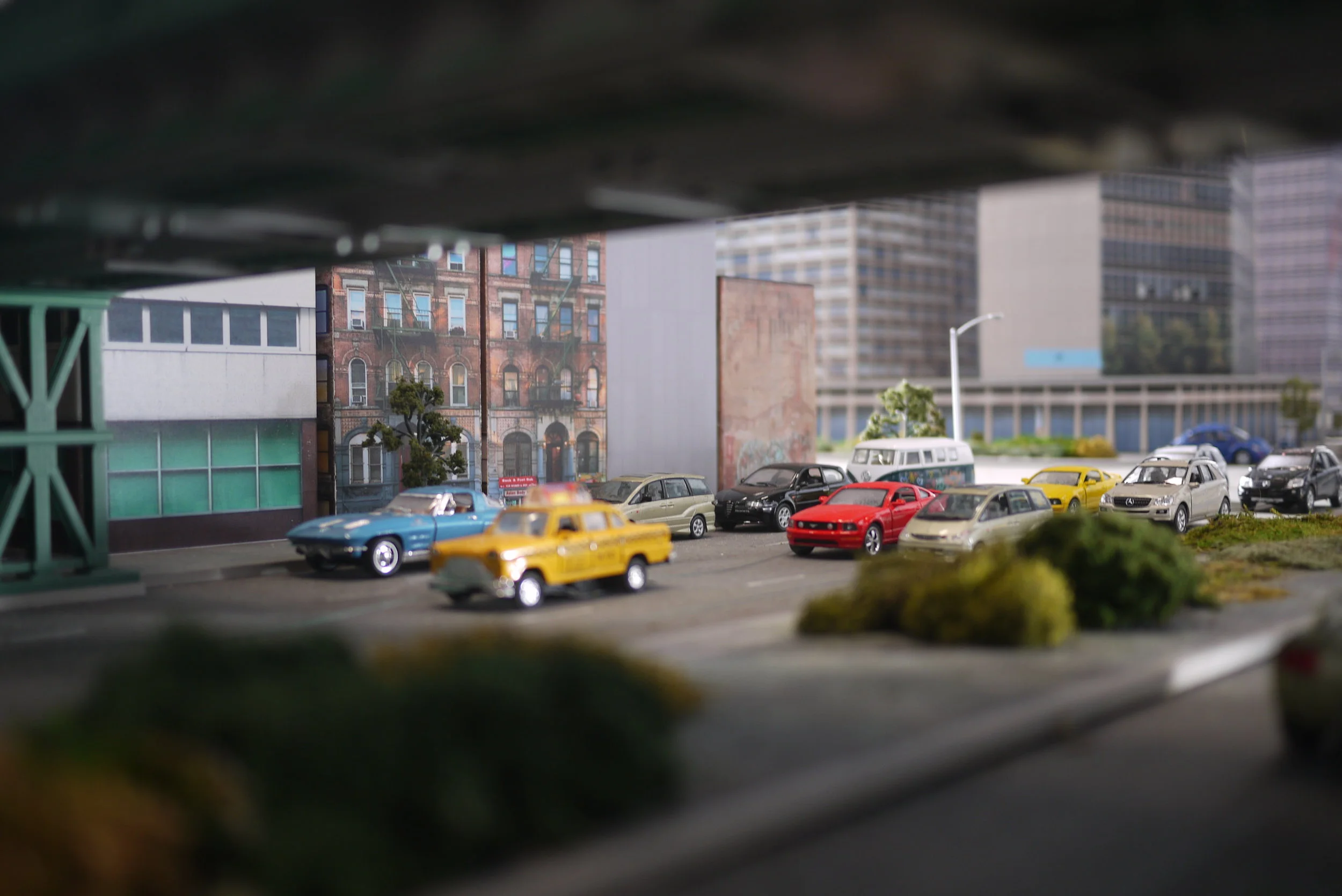 P1010477.jpg