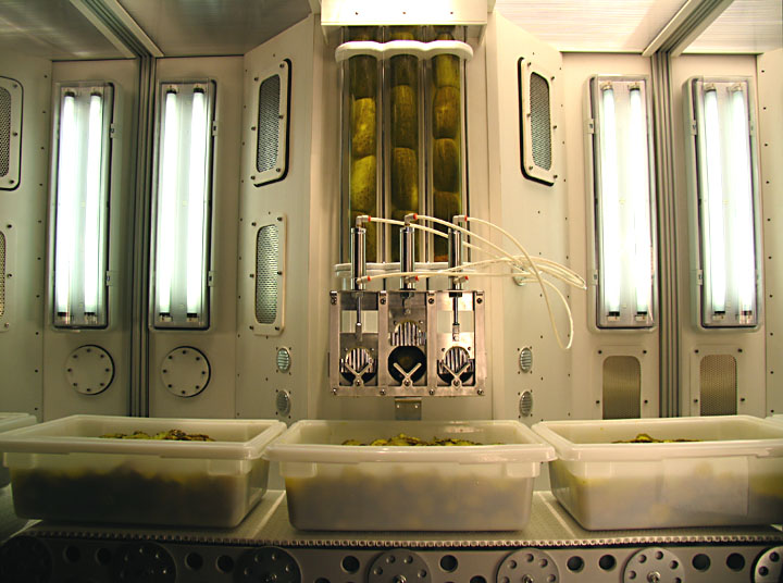 6 Pickle Slicer Set.jpg