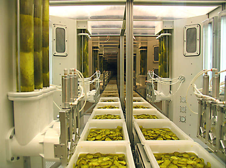 2 Pickle Slicer Set.jpg