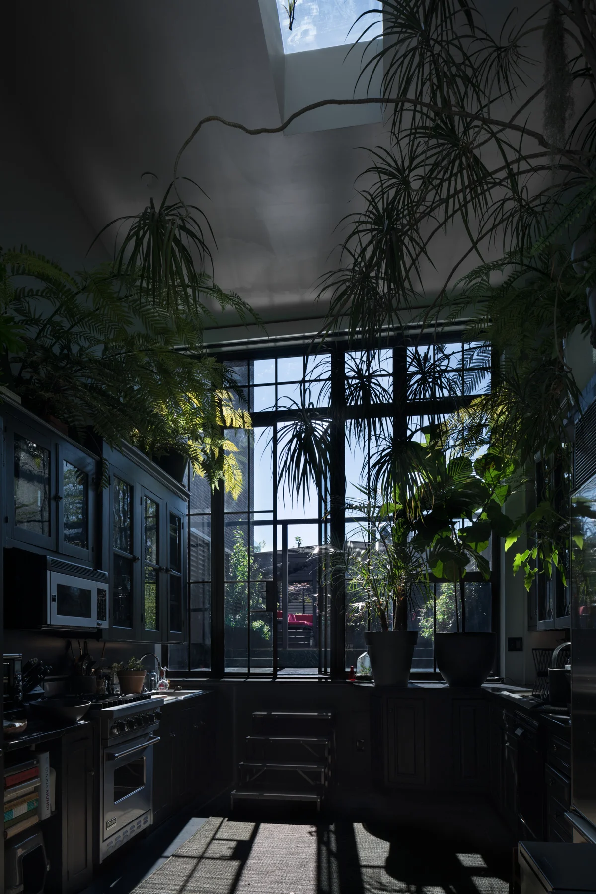 Barkow_Photo_4_.jpg